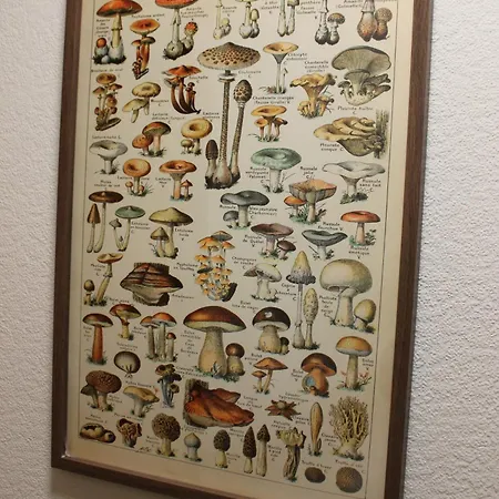 Beautiful 7 Bedroom House With Hot Tub Sleeps 14 펜션 *